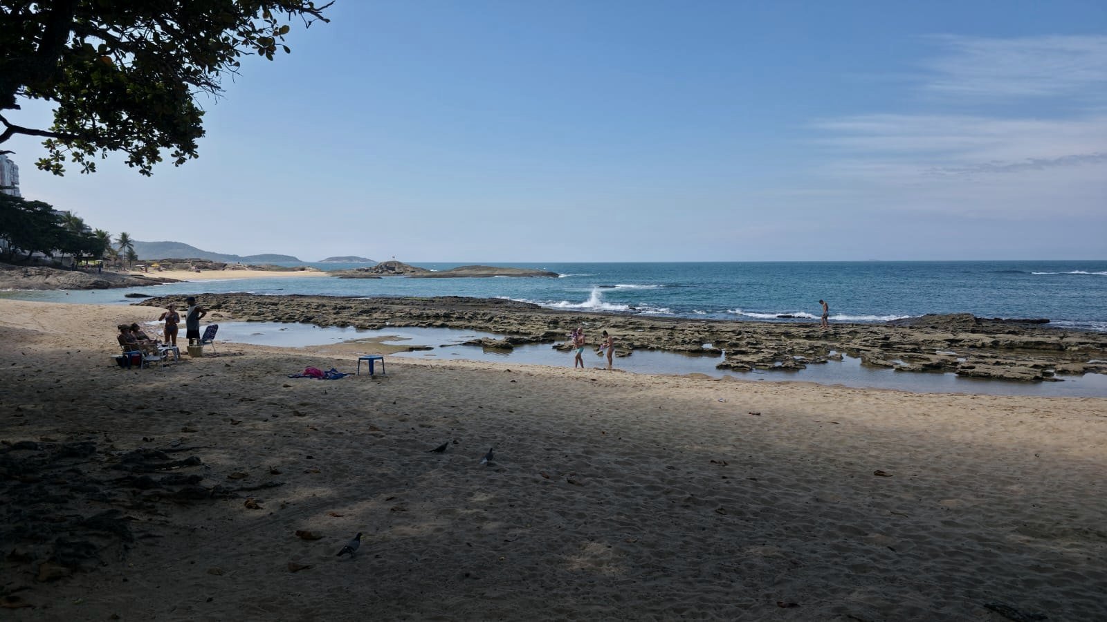 Sombra das castanheiras sobre a areia